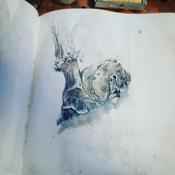 IMG_20180204_170323_585